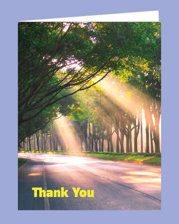 TY221 | Abbott Cards
